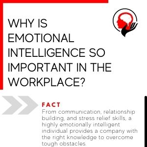 Why is Emotional Intelligence so Important in the Workplace